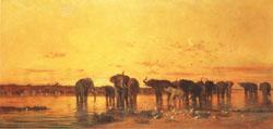 Charles tournemine African Elephants Norge oil painting art